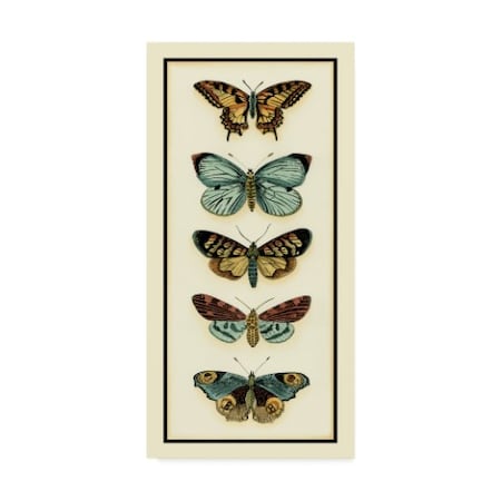 Trademark Fine Art Chariklia Zarris 'Butterfly Collector Vi' Canvas Art, 12x24 WAG00862-C1224GG